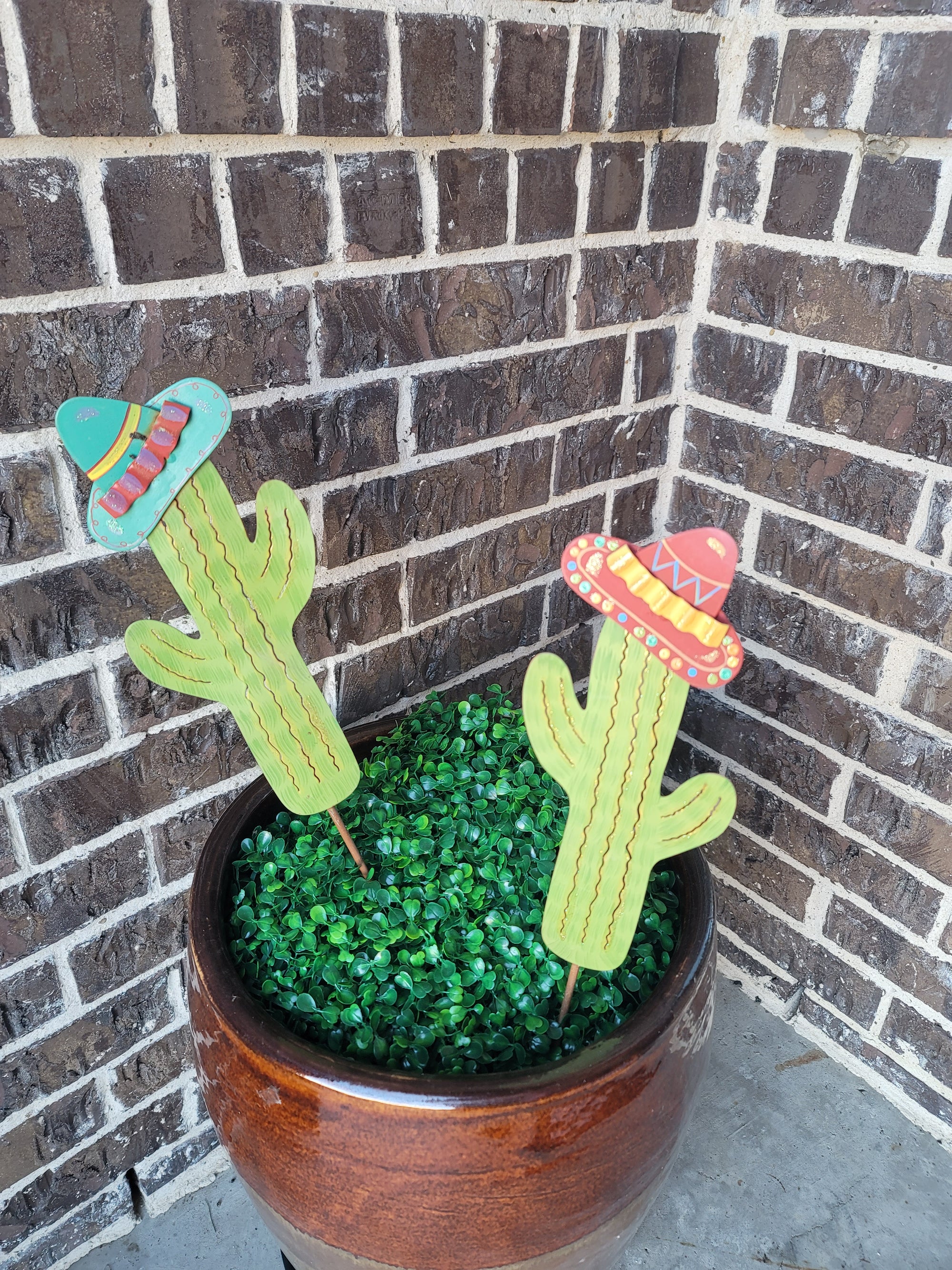 Small Cactus Round Top Collection